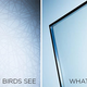 Illustration for article titled Science Is Finally Making Glass That Birds Won't Fly Into